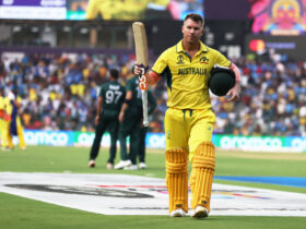 David Warner's IPL Experience Fuels ODI Triumphs!