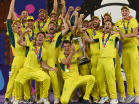 Finalists Rule Cricket World Cup Team of the Tournament!