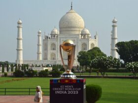 Unveiled: Ultimate Guide to Cricket World Cup Knockout Stage