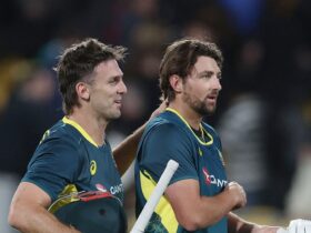 David's Match-Winning Performance in Wellington Shocks All!