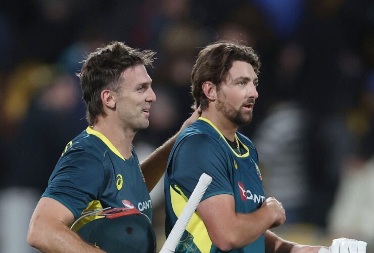 David's Match-Winning Performance in Wellington Shocks All!