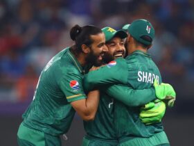 Star All-Rounder Urged to Rethink Retirement for T20 World Cup