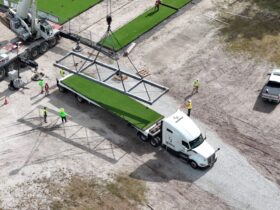 DP World Hits Six! Now ICC Premier Partner