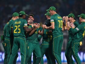 Unveiled: South Africa's Thrilling 2024-25 Cricket Summer!