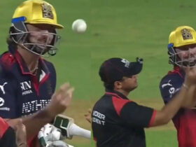 tim-davids-antics-annoy-umpire-as-rcb-defeats-mi-in-high-scoring-thriller